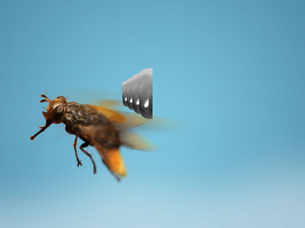 Creation of MAFLYIA: Step 6